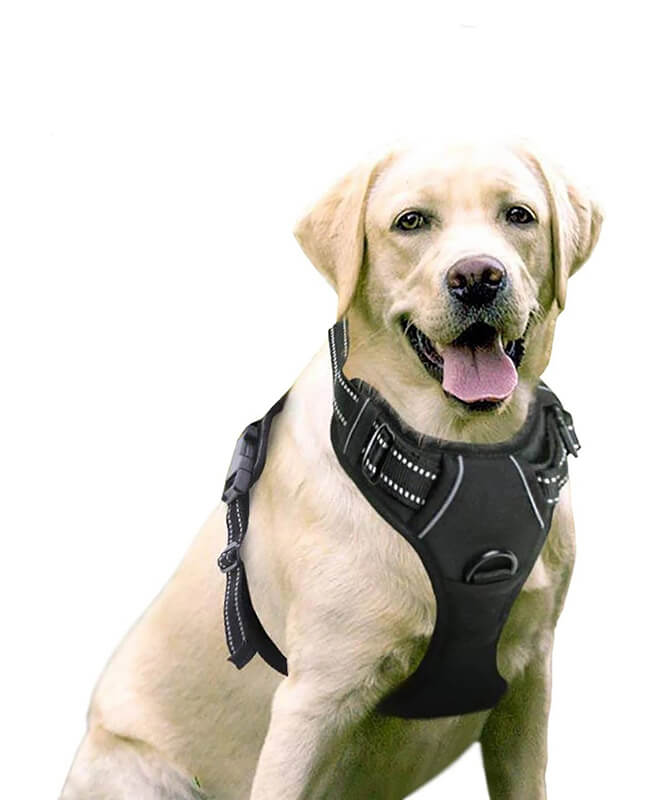 Easy Control Handle Reflective Vest Dog Harnesses with Breathable Comfortable Mesh 14 reflective vest dog harnesses 9
