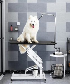 Pempet Hydraulic Dog Grooming Table