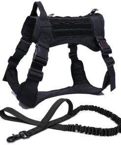 Black Dog Harness