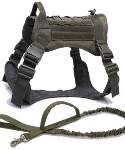 Pet Training Vest