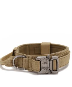 brown dog collar