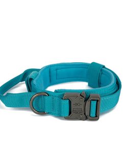 dogcollarblue