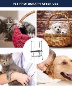 doggroomingtable 2 2000x bed9baf5 c26a 4378 abf8 53d0d4b35a85