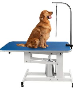 Pempet Hydraulic Dog Grooming Table 15 hydraulic grooming table 6 2000x webp