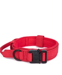 red dog collar