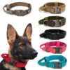 tacticaldogcollar