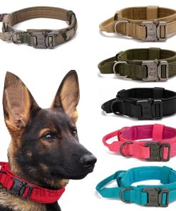 Tactical Dog Collar Training Nylon Collar with Handle for Medium and Large Dogs