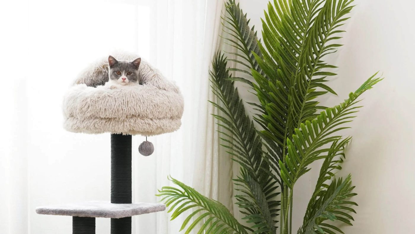 How to Choose the Right Cat Tree 1 How to Choose the Right Cat Tree for Your Kitty