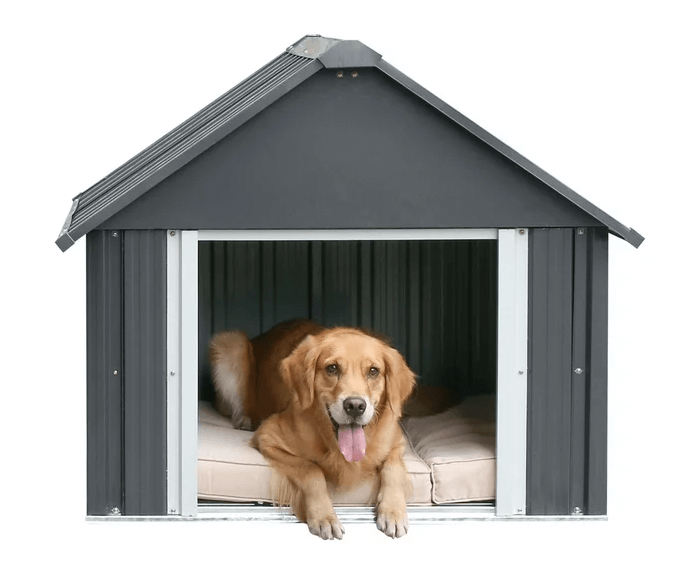How to Choose the Perfect Dog House 3 QQ截图20240723144513