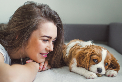 Why you should talk to your dog more 1 shutterstock 592649870