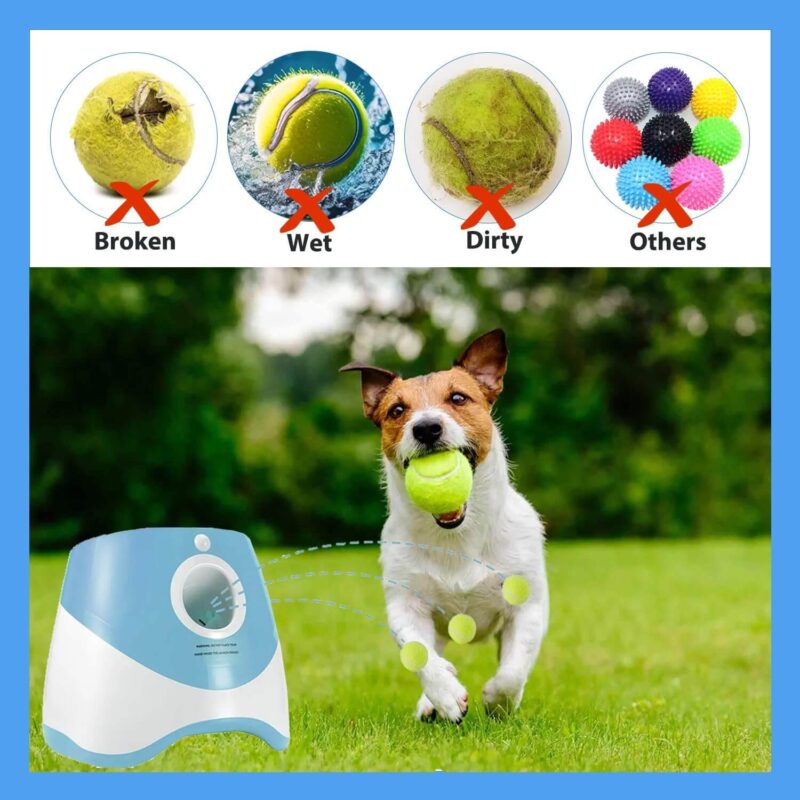 Automatic Ball Thrower Tennis Ball Shooter Launcher For Small and Medium Dogs 31 Automatic Ball Launcher 15
