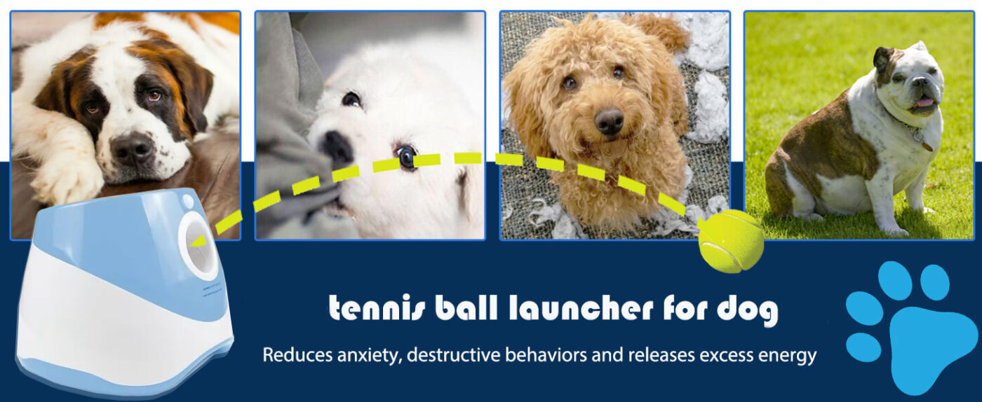 Automatic Ball Thrower Tennis Ball Shooter Launcher For Small and Medium Dogs 28 Automatic Ball Launcher z