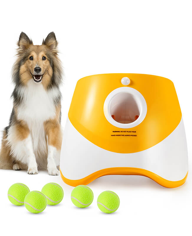 dog ball launcher