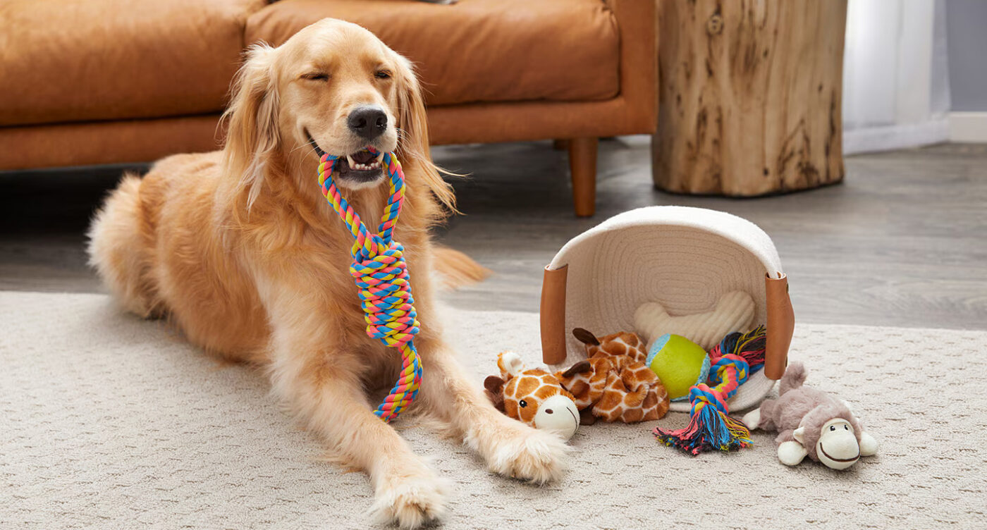 Bringing Happiness to Every Pet! 92 pet toys