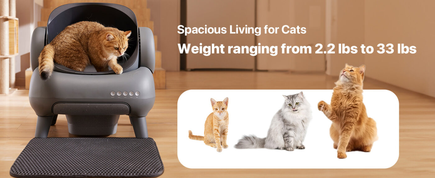 Self Cleaning Cat Litter Box 6
