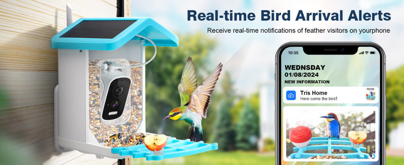 Wireless Smart Bird Watching Camera Outdoor Solar Bird Feeder 26 Smart Bird Feeder with Camera 15